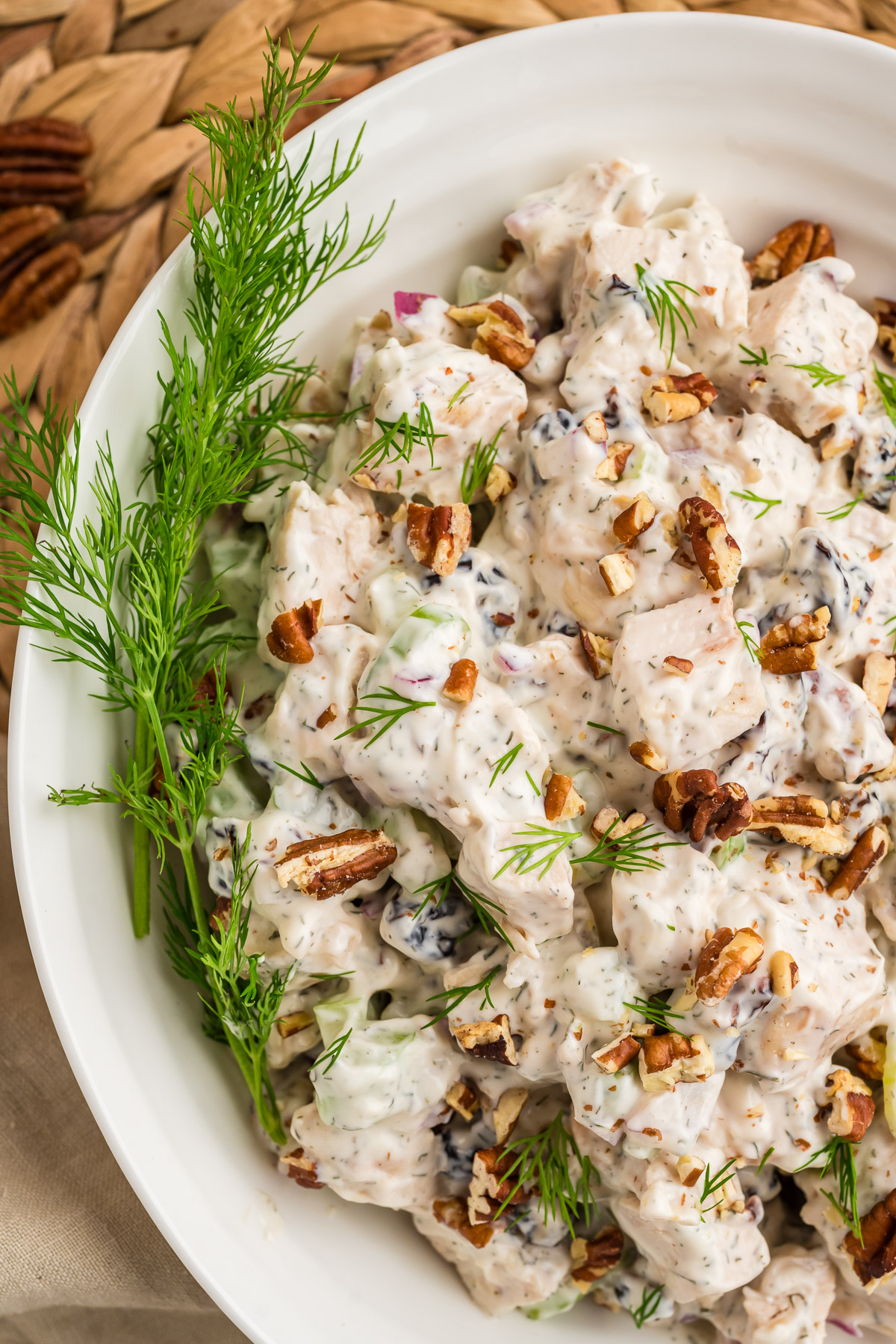 white bowl full of cherry chicken salad, with a sprig of fresh dill in bowl for garnish