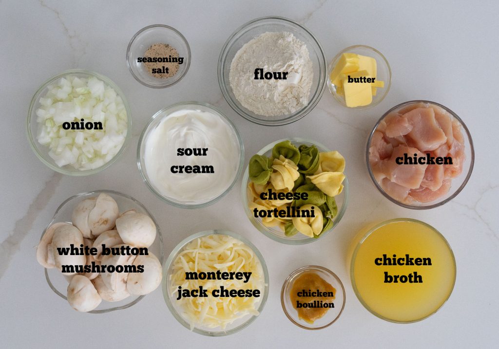 ingredients of the chicken tortellini on a white background