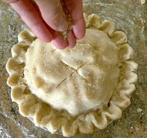The Best Pie Crust Recipe