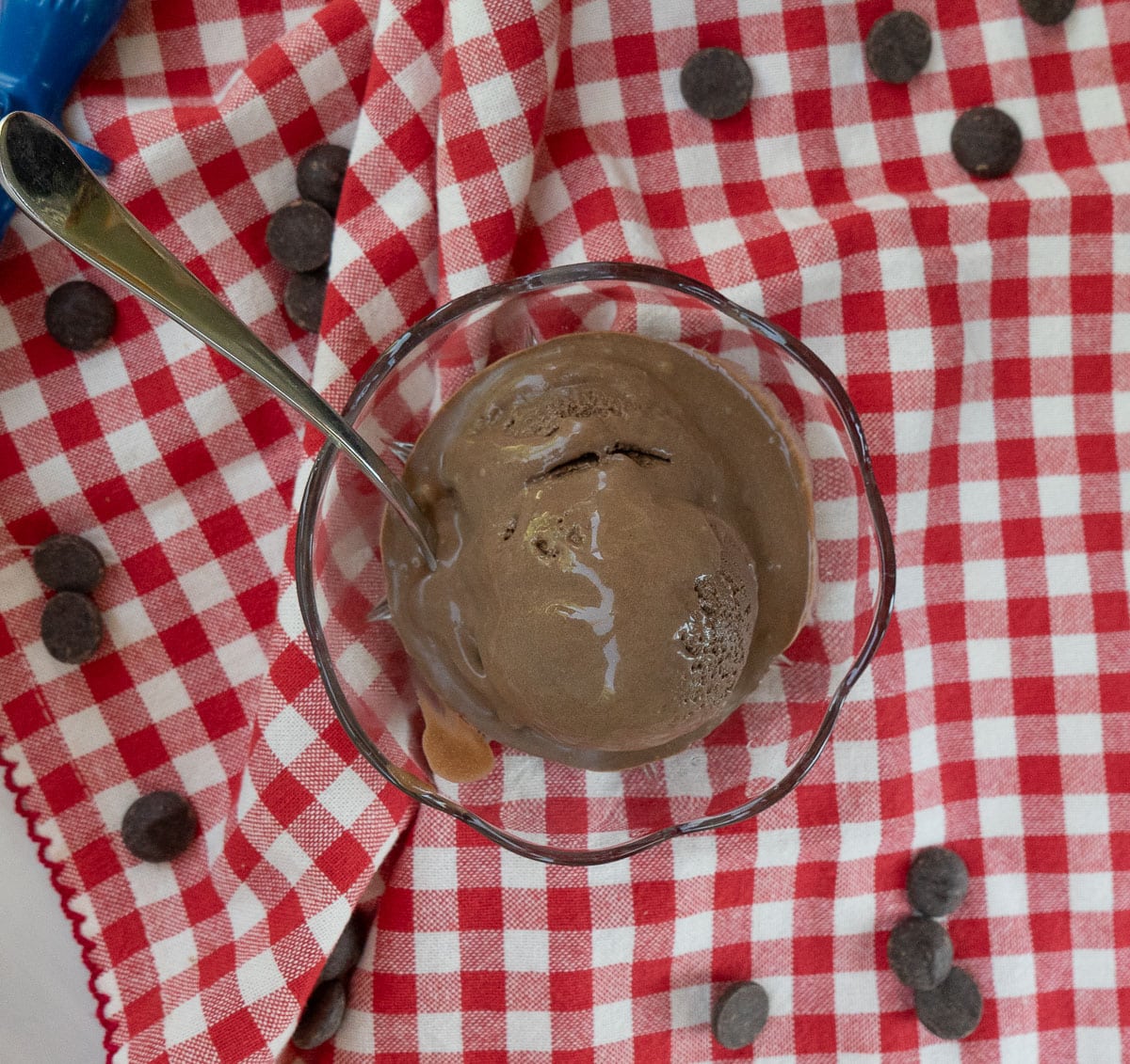 photo of brownie batter ice cream in a glass dish on a red and white gingham cloth with the ice cream scoop dripping on the table and chocolate chips on the table