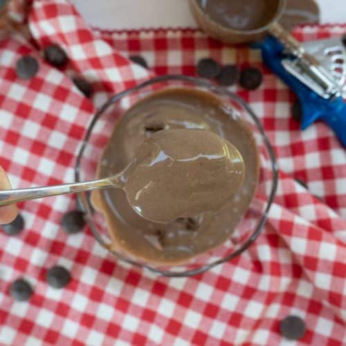 photo of brownie batter ice cream in a glass dish on a red and white gingham cloth with the ice cream scoop dripping on the table and chocolate chips on the table