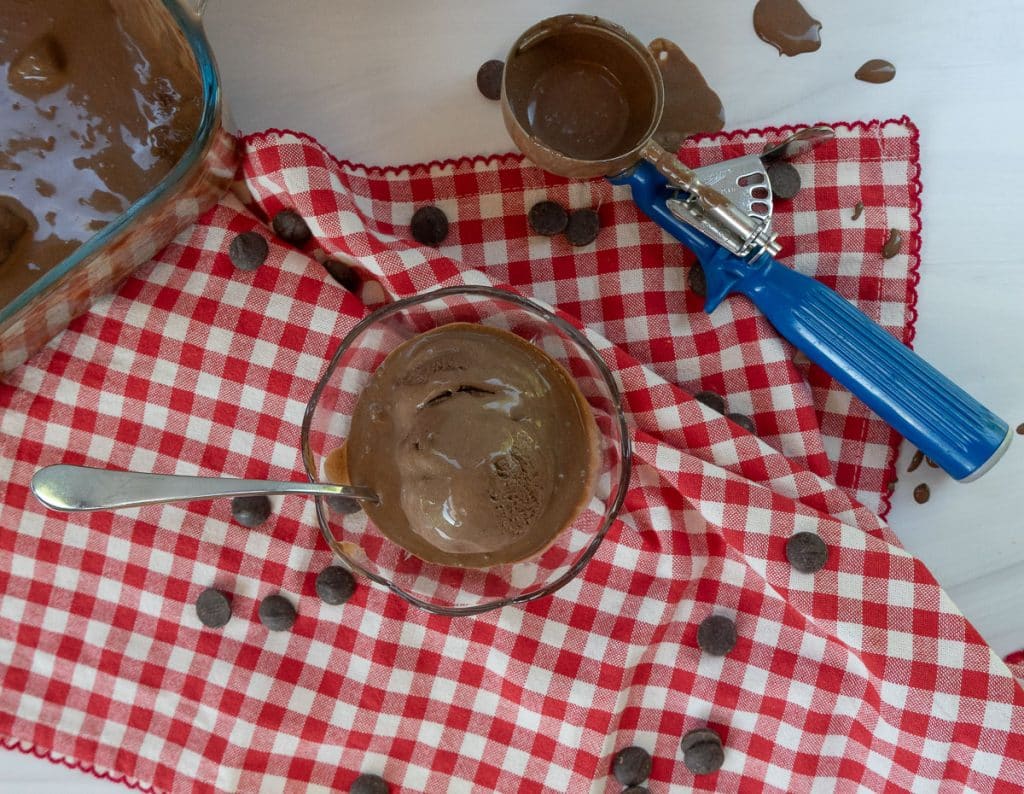 DSCN8257 photo of brownie batter ice cream in a glass dish on a red and white gingham cloth with the ice cream scoop dripping on the table and chocolate chips on the table