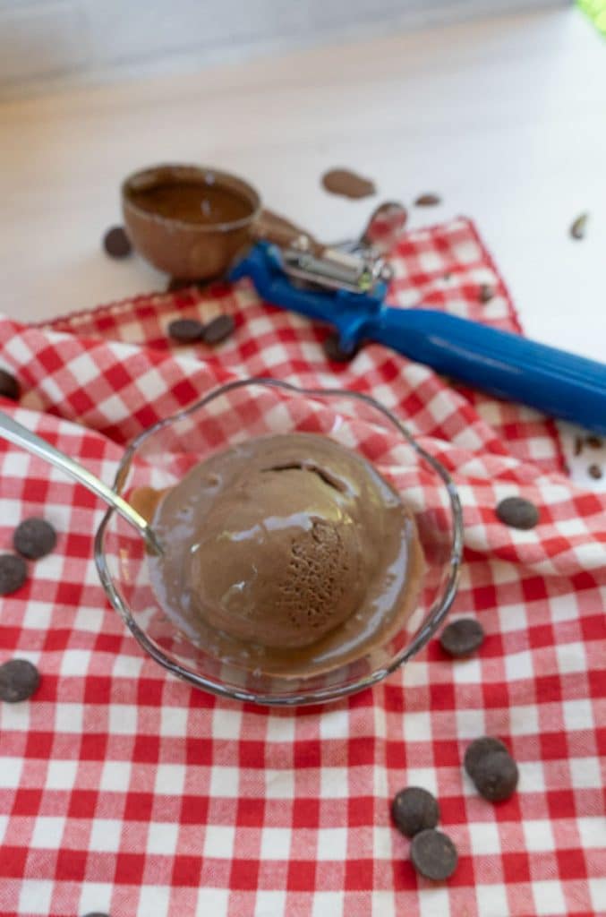 DSCN8258 photo of brownie batter ice cream in a glass dish on a red and white gingham cloth with the ice cream scoop dripping on the table and chocolate chips on the table