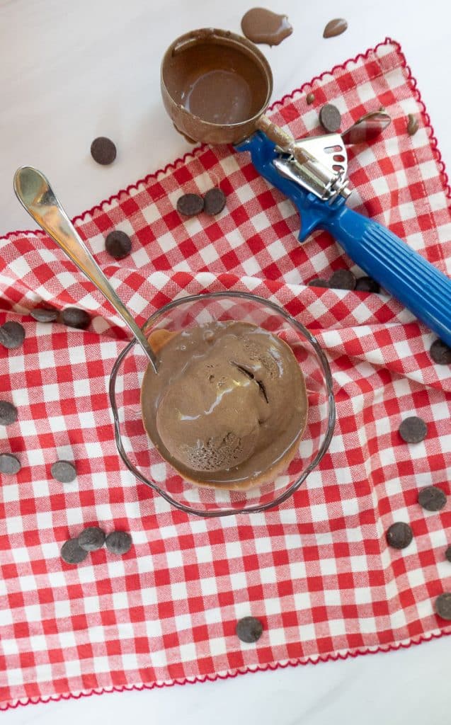 photo of brownie batter ice cream in a glass dish on a red and white gingham cloth with the ice cream scoop dripping on the table and chocolate chips on the table