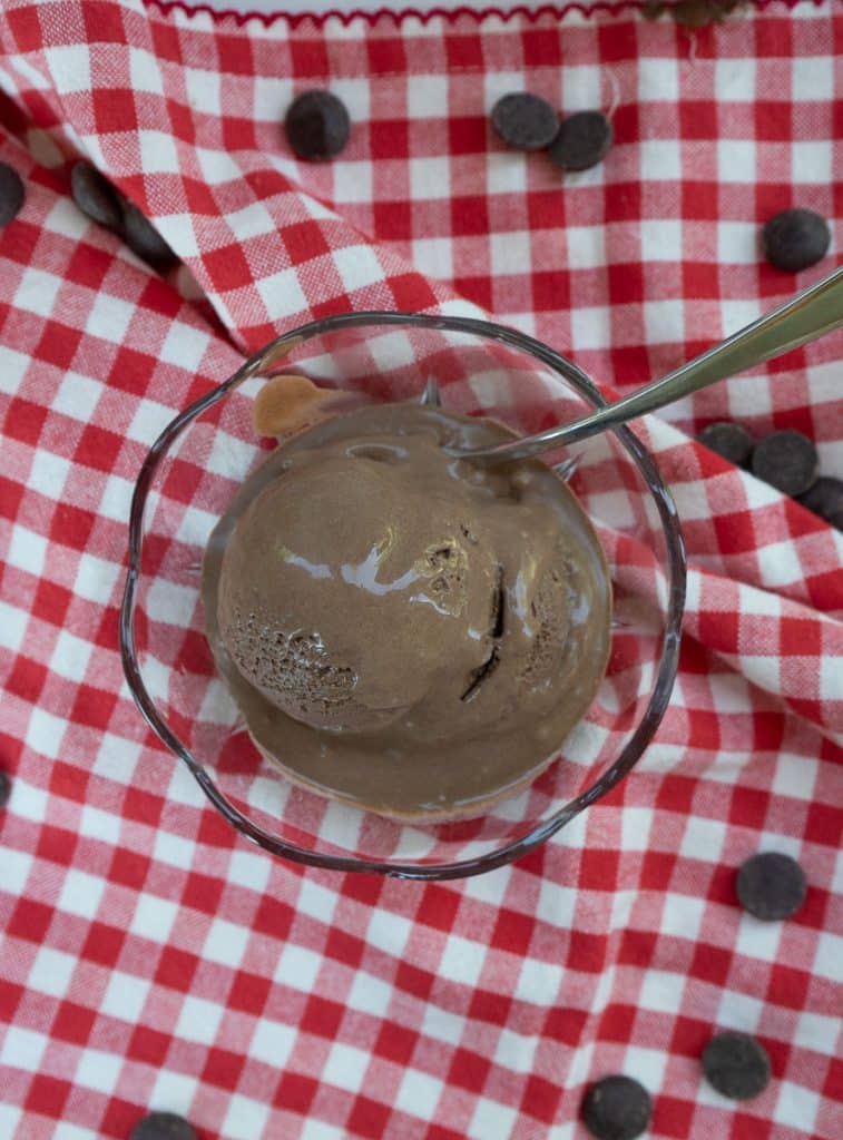 photo of brownie batter ice cream in a glass dish on a red and white gingham cloth with the ice cream scoop dripping on the table and chocolate chips on the table