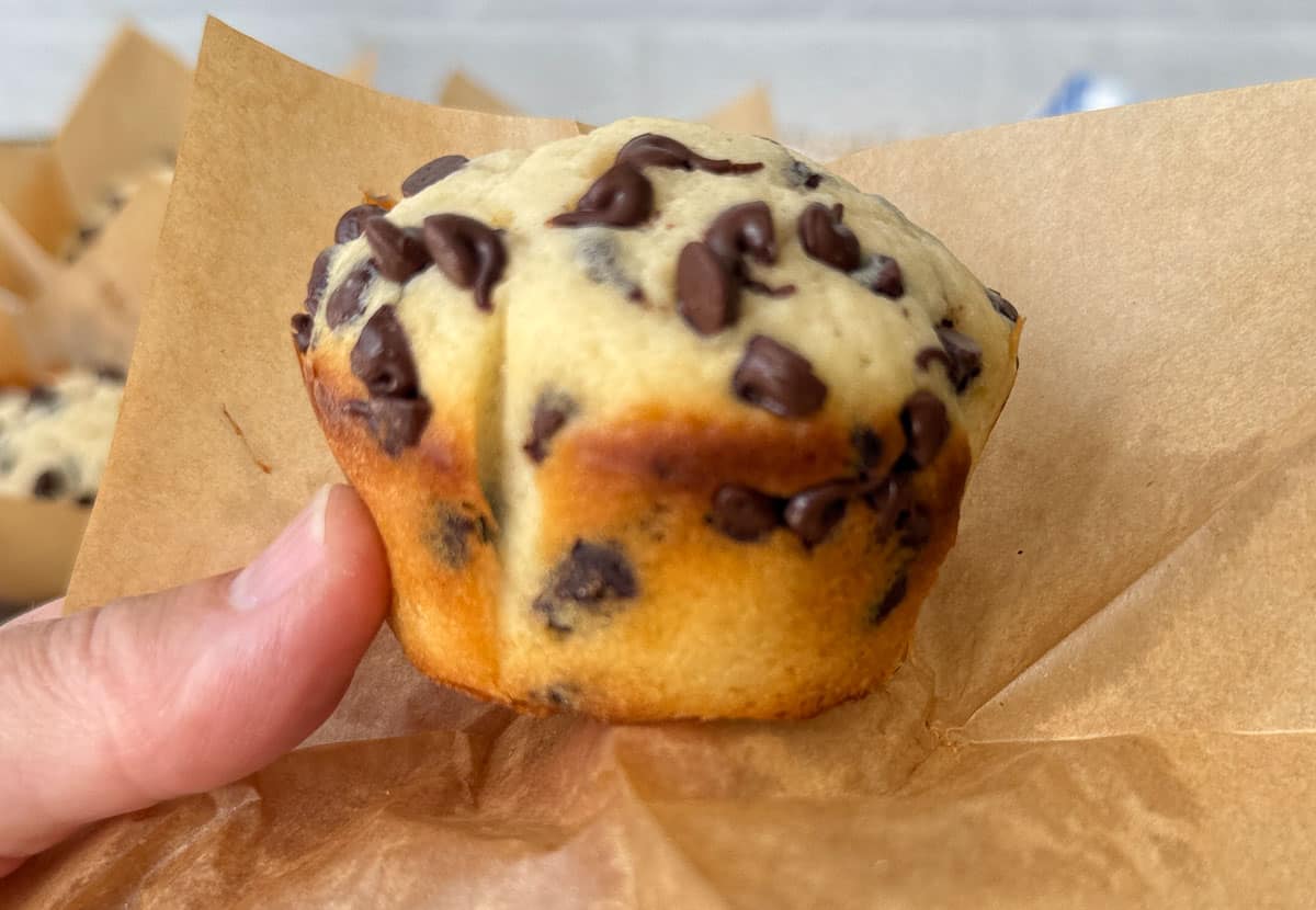 chocolate chip muffin held in hand being unwrapped from muffin cup