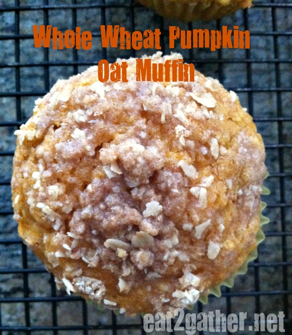 Whole Wheat Pumpkin Oat Muffins