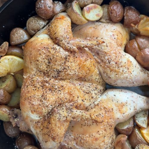 roast chicken in a cast iron skillet surrounded by roast potatoes, lemons and garlic