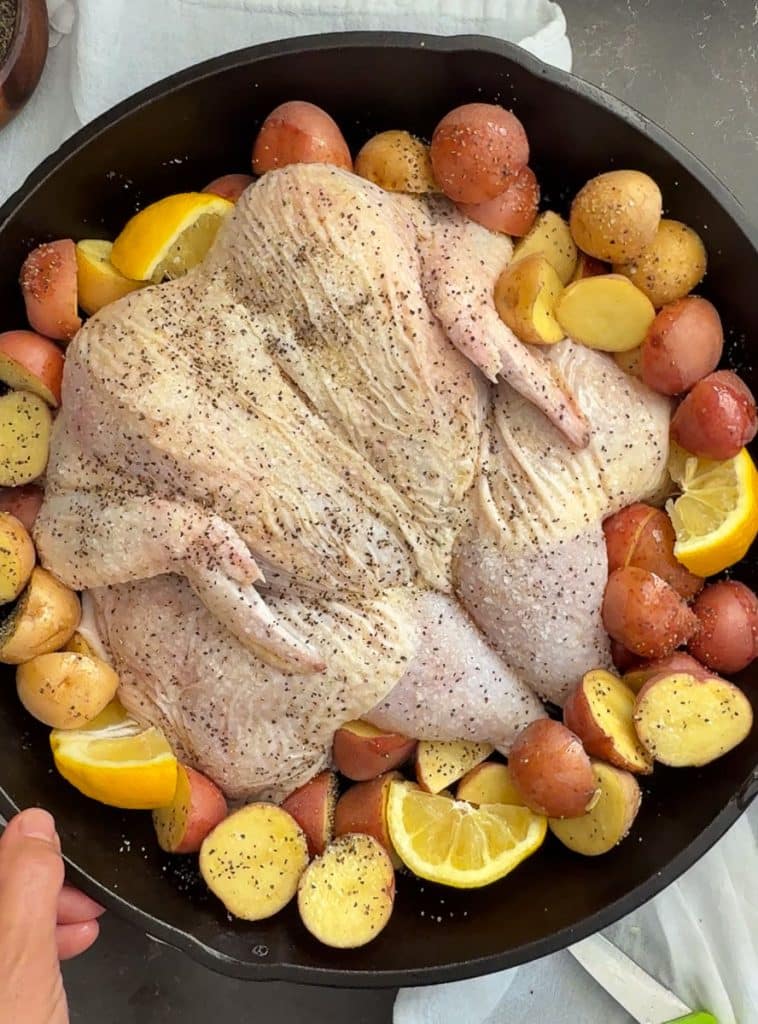 chicken in cast iron skillet surrounded by potatoes, lemon, garlic 