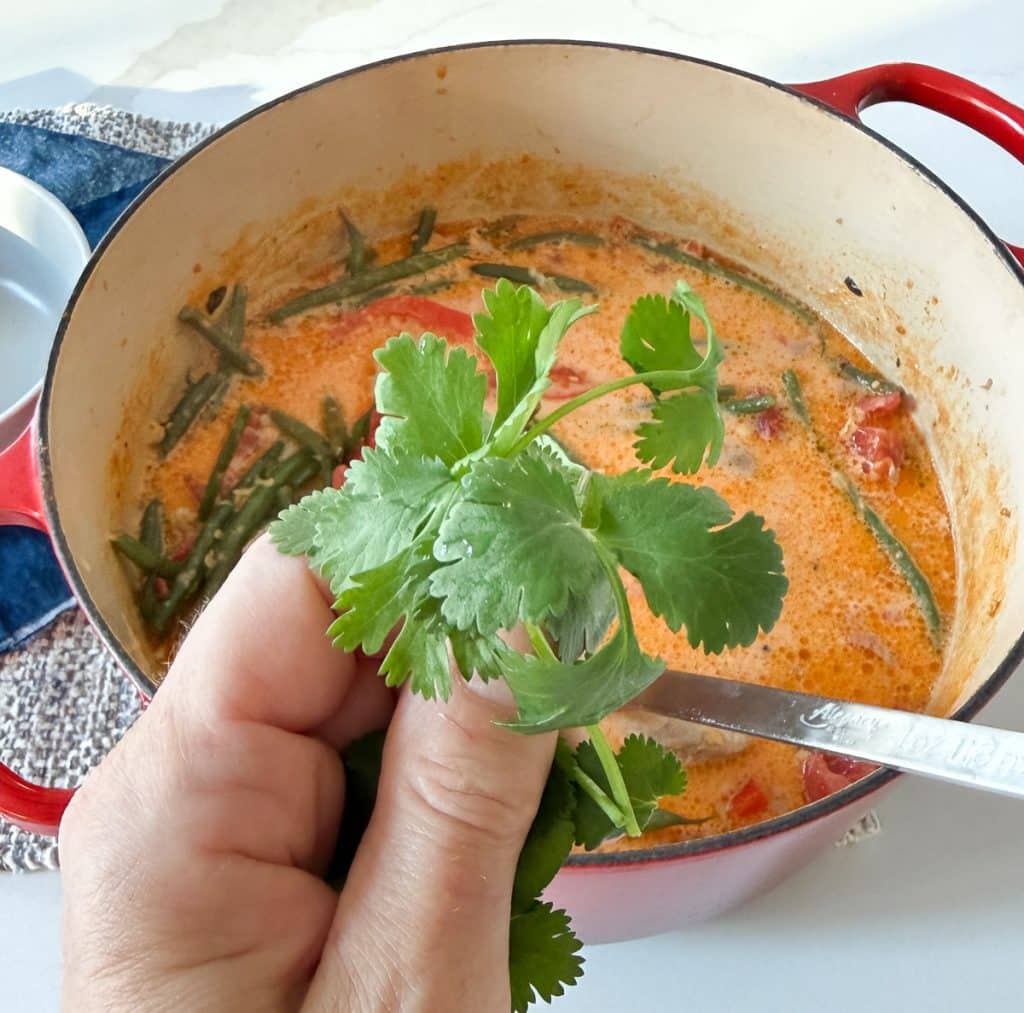 garnish with cilantro and lime hand holding cilantro leaves over pot of soup