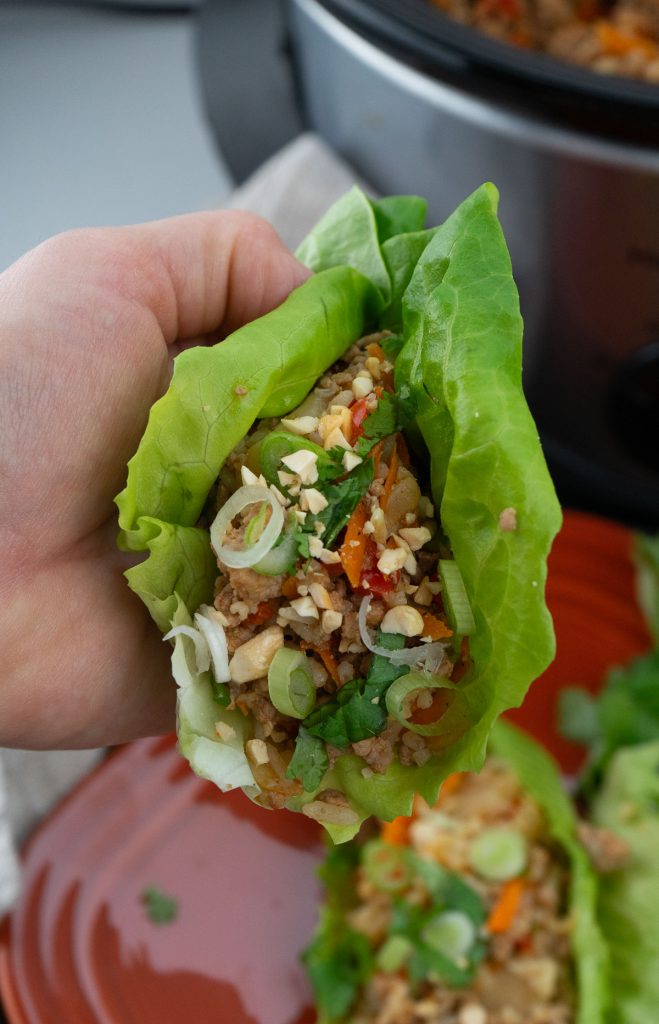 hand holding a chicken lettuce wrap