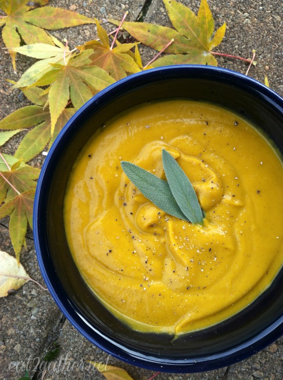 Butternut Squash Soup