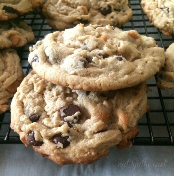 Cowboy Cookie ~ a peanut butter oatmeal chocolate chip cookie