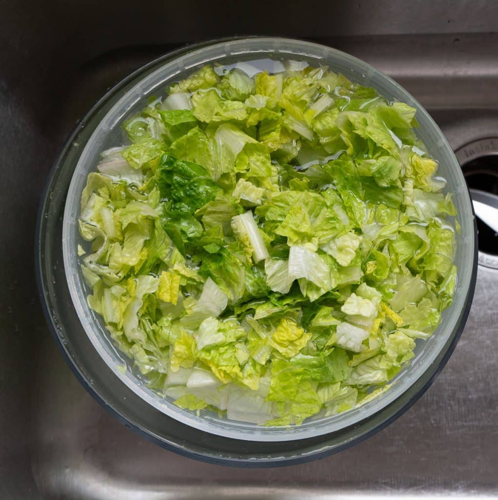 washing romain lettuce in a salad spinner in a stainless steel sink