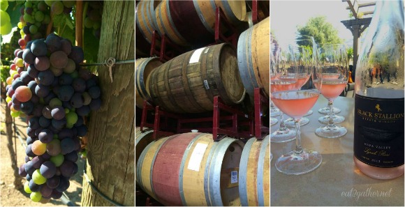 Black Stallion Winery ~ Nappa Valley, CA