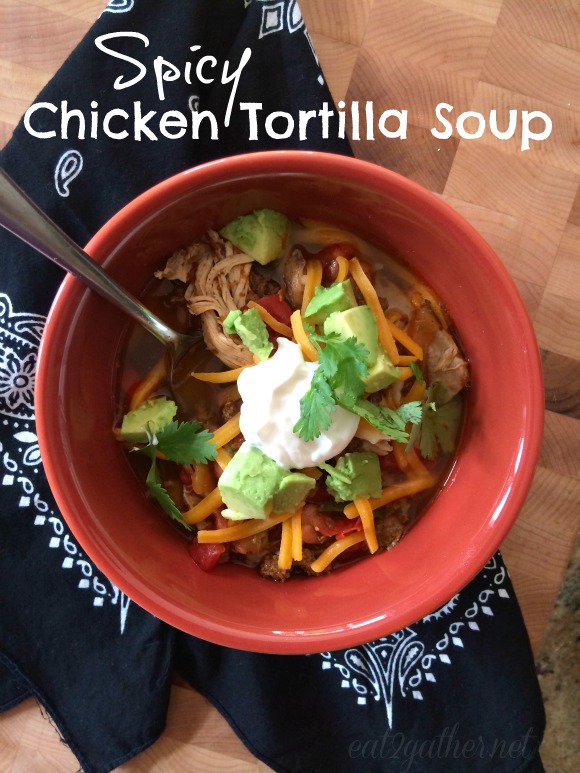 Spicy Chicken Tortilla Soup with dairy toppings