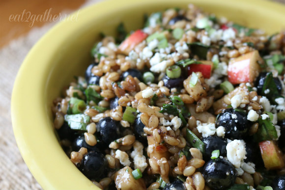 Blueberry Barley and Blue Cheese Salad