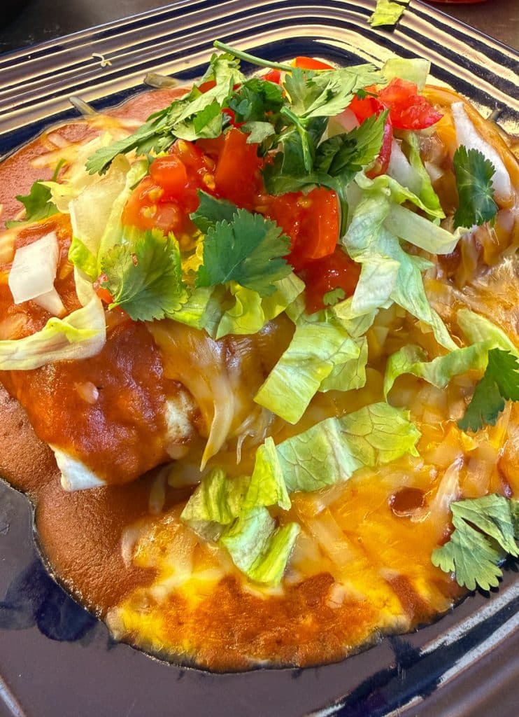 wet burrito with all the toppings on a blue plate