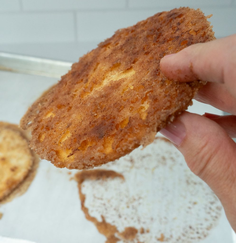 cinnamon sugar covered tortilla shell