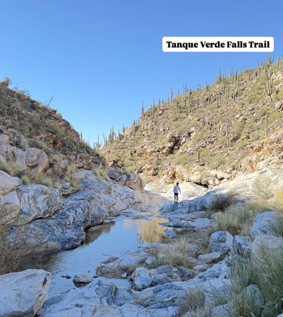 tanque verde falls trail in the tucson arizona area, picture of rocky trail with a man in the distance, a pool of water in the foreground with blue skies