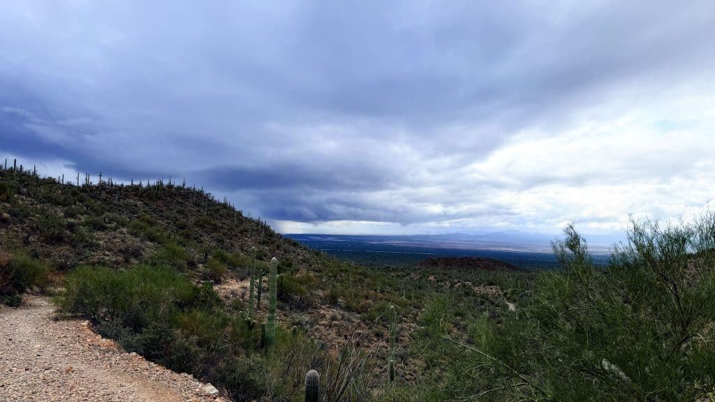 king canyon trail east of tucson arizona in the sonoran desert